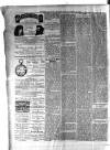 Birmingham & Aston Chronicle Saturday 12 January 1895 Page 4