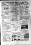 Birmingham & Aston Chronicle Saturday 02 February 1895 Page 1