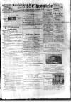 Birmingham & Aston Chronicle Saturday 09 February 1895 Page 1