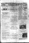 Birmingham & Aston Chronicle Saturday 09 March 1895 Page 1