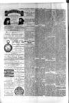 Birmingham & Aston Chronicle Saturday 09 March 1895 Page 4