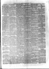 Birmingham & Aston Chronicle Saturday 06 April 1895 Page 5