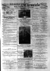 Birmingham & Aston Chronicle Saturday 01 June 1895 Page 1