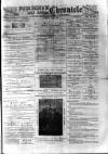 Birmingham & Aston Chronicle Saturday 13 July 1895 Page 1