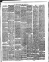 Birmingham Suburban Times Saturday 01 March 1890 Page 3