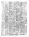 Birmingham Suburban Times Saturday 09 January 1892 Page 3