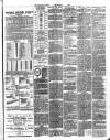 Birmingham Suburban Times Saturday 03 June 1893 Page 7