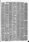 The Halesworth Times and East Suffolk Advertiser. Tuesday 24 June 1884 Page 3