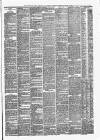 The Halesworth Times and East Suffolk Advertiser. Tuesday 14 January 1890 Page 3