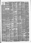 The Halesworth Times and East Suffolk Advertiser. Tuesday 25 March 1890 Page 3