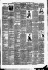 The Halesworth Times and East Suffolk Advertiser. Tuesday 08 August 1893 Page 3