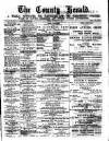 Flintshire County Herald Friday 28 October 1887 Page 1