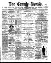 Flintshire County Herald Friday 02 March 1888 Page 1