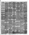 Flintshire County Herald Friday 03 August 1888 Page 3