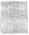 Flintshire County Herald Friday 11 January 1889 Page 3