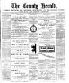 Flintshire County Herald Friday 18 January 1889 Page 1