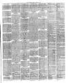 Flintshire County Herald Friday 15 March 1889 Page 3