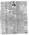 Flintshire County Herald Friday 05 April 1889 Page 5