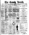 Flintshire County Herald Friday 06 September 1889 Page 1