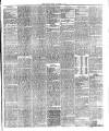 Flintshire County Herald Friday 29 November 1889 Page 5