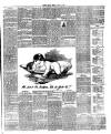 Flintshire County Herald Friday 20 June 1890 Page 7