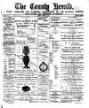 Flintshire County Herald Friday 02 January 1891 Page 1