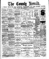 Flintshire County Herald Friday 20 March 1891 Page 1