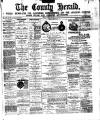 Flintshire County Herald Friday 06 January 1893 Page 1