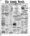 Flintshire County Herald Friday 13 January 1893 Page 1