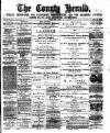 Flintshire County Herald Friday 16 June 1893 Page 1
