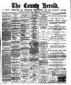 Flintshire County Herald Friday 03 November 1893 Page 1