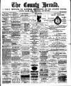 Flintshire County Herald Friday 26 January 1894 Page 1