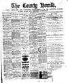 Flintshire County Herald Friday 04 January 1895 Page 1