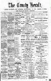 Flintshire County Herald Friday 28 February 1896 Page 1