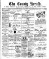 Flintshire County Herald Friday 12 January 1900 Page 1