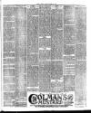 Flintshire County Herald Friday 26 January 1900 Page 7