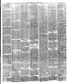 Flintshire County Herald Friday 08 March 1901 Page 3