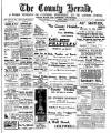Flintshire County Herald Friday 16 January 1920 Page 1