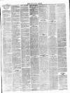Middleton Albion Saturday 15 March 1884 Page 3