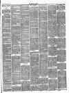 Middleton Albion Saturday 25 January 1890 Page 3