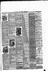 Middleton Albion Saturday 26 December 1891 Page 5