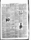 Middleton Albion Saturday 20 January 1894 Page 3