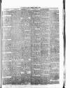 Middleton Albion Saturday 10 March 1894 Page 3