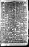 Middleton Albion Saturday 05 January 1895 Page 5