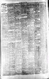 Middleton Albion Saturday 16 March 1895 Page 3