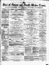 Star of Gwent Saturday 10 July 1875 Page 1