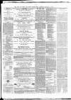 Star of Gwent Saturday 15 January 1876 Page 3