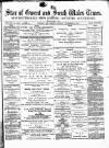 Star of Gwent Saturday 10 November 1877 Page 1