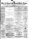 Star of Gwent Friday 15 February 1878 Page 1