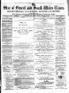 Star of Gwent Friday 22 February 1878 Page 1